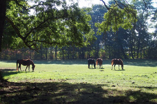  Maison � vendre 10 pi�ces 340 m�