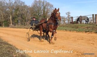  Propri�t�/ch�teau � vendre 5 pi�ces 100 m�