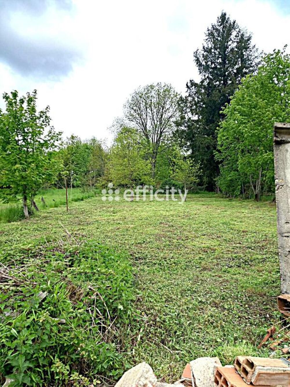 Vente Immeuble Immeuble Celles sur durolle