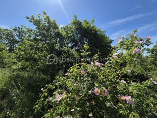  Terrain � vendre 26139 m�