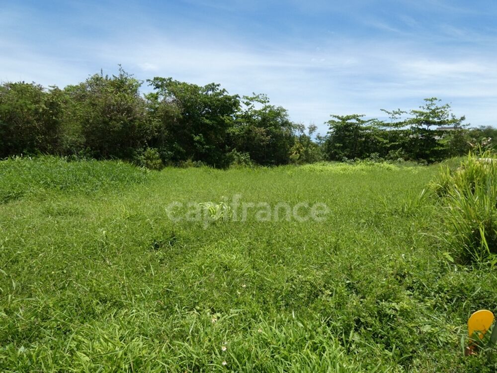 Vente Terrain Terrain à vendre  de 1811 m² sur LE MOULE (971) Le moule