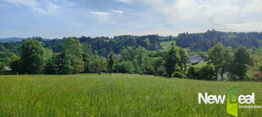 Vente Terrain Superbe terrain de 5.000 m² à Tulle Tulle