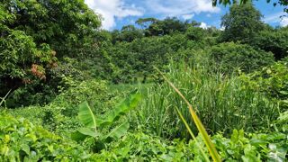  Terrain  vendre 697 m