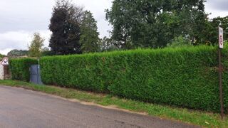  Terrain � vendre 1171 m�