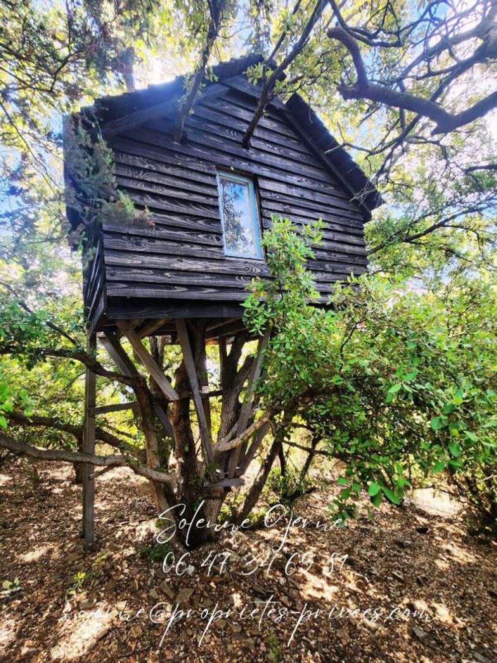 Vente Maison Maison  3 pi�ce(s) 108 m2 sur 10.7 HA Roquebrun