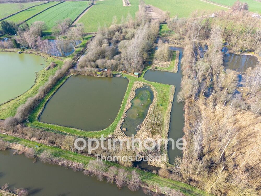 Vente Terrain Ensemble exceptionnel de deux étangs sur plus de 18 000 m² Landrecies