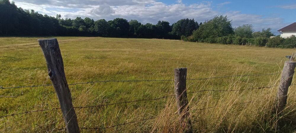 Vente Terrain Terrain constructible.  9159 M2 m2 luxeuil Luxeuil les bains