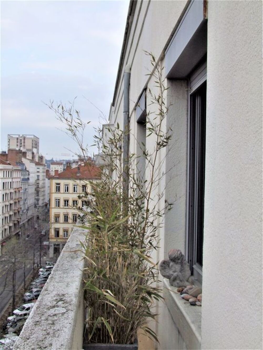 Location Appartement Chambre de 12m2 à louer sur Lyon 06 Lyon 6