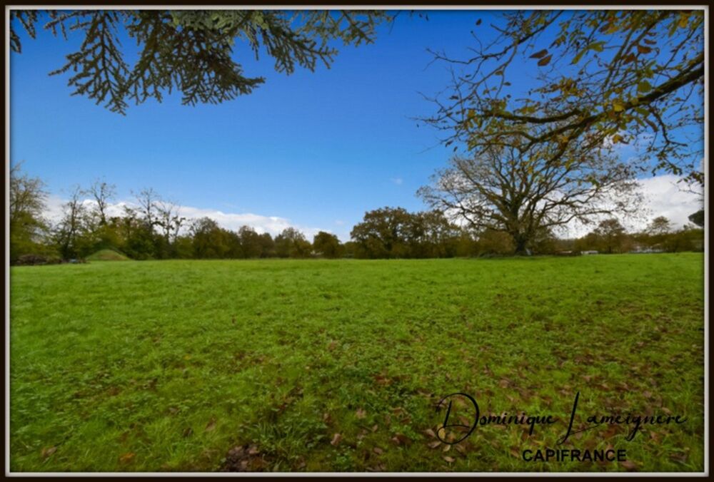 Vente Terrain PROCHE PEYREHORADE ( Commune de Saint Cricq du Gave ) - TERRAIN A BATIR - 1156 m2 Peyrehorade