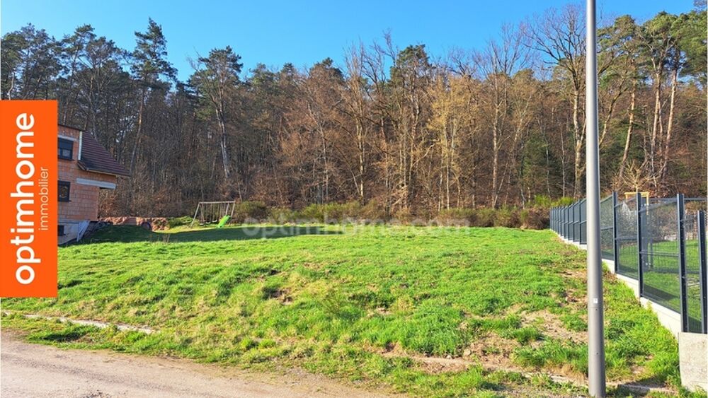 Vente Terrain Terrain viabilisé 945 m² WIMMENAU (67) Wimmenau
