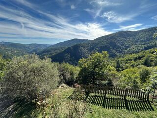  Maison � vendre 15 + pi�ces 300 m�