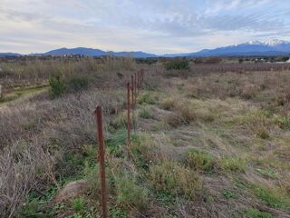  Terrain � vendre 4530 m� Banyuls dels aspres