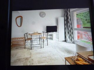  Appartement à louer 1 pièce 17 m²
