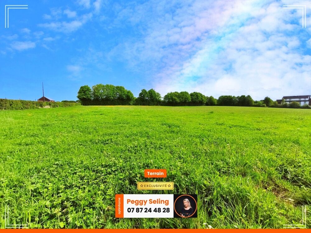 Vente Terrain Terrain à vendre de 8 424,00 m² BUIRONFOSSE (02) Buironfosse