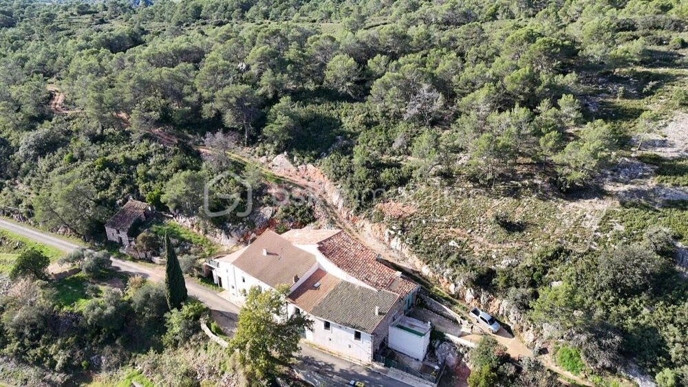Vente Maison Domaine d'exception 100% autonome : Habitation + 2 Gîtes opérationnels sur 10 ha à Saint-Chinian Saint chinian