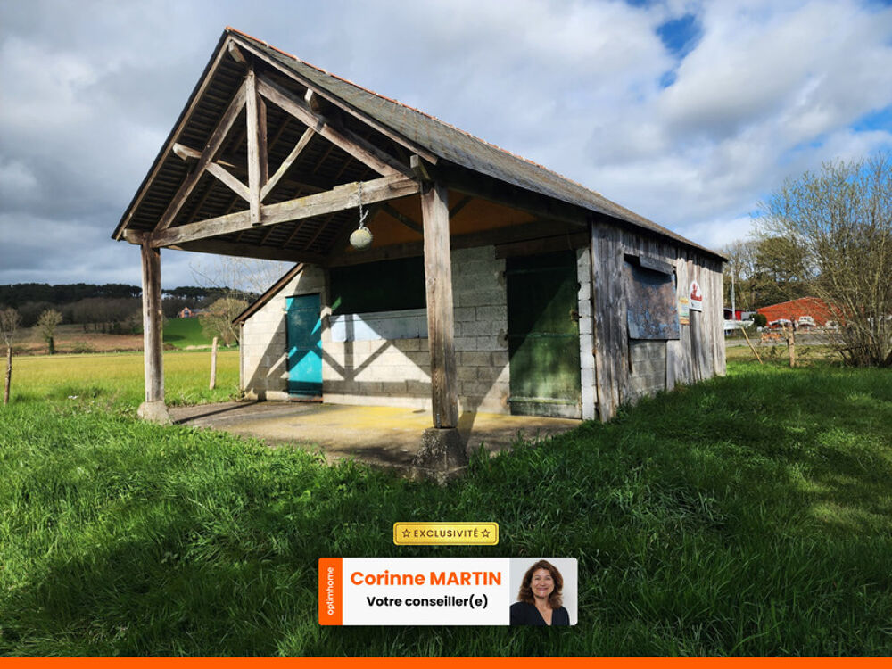 Vente Terrain Terrain � vendre de 2870  BEGANNE (56) Beganne
