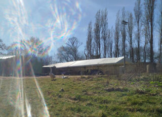  Terrain  vendre 11260 m