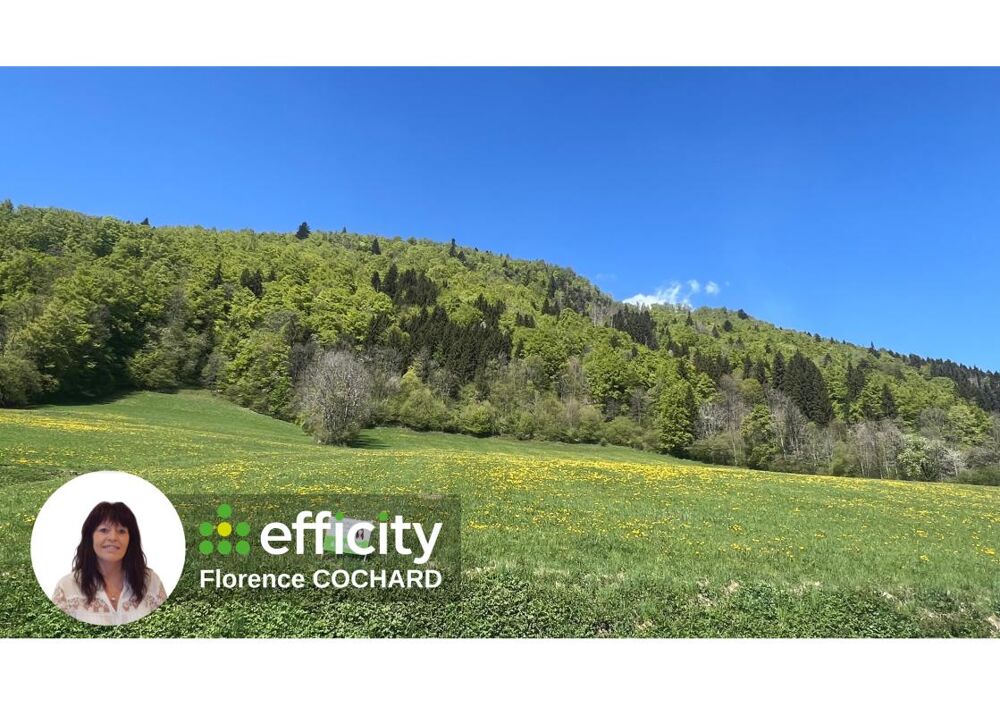 Vente Terrain Terrain agricole Megevette
