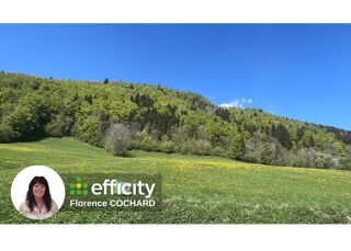  Terrain à vendre 50000 m²