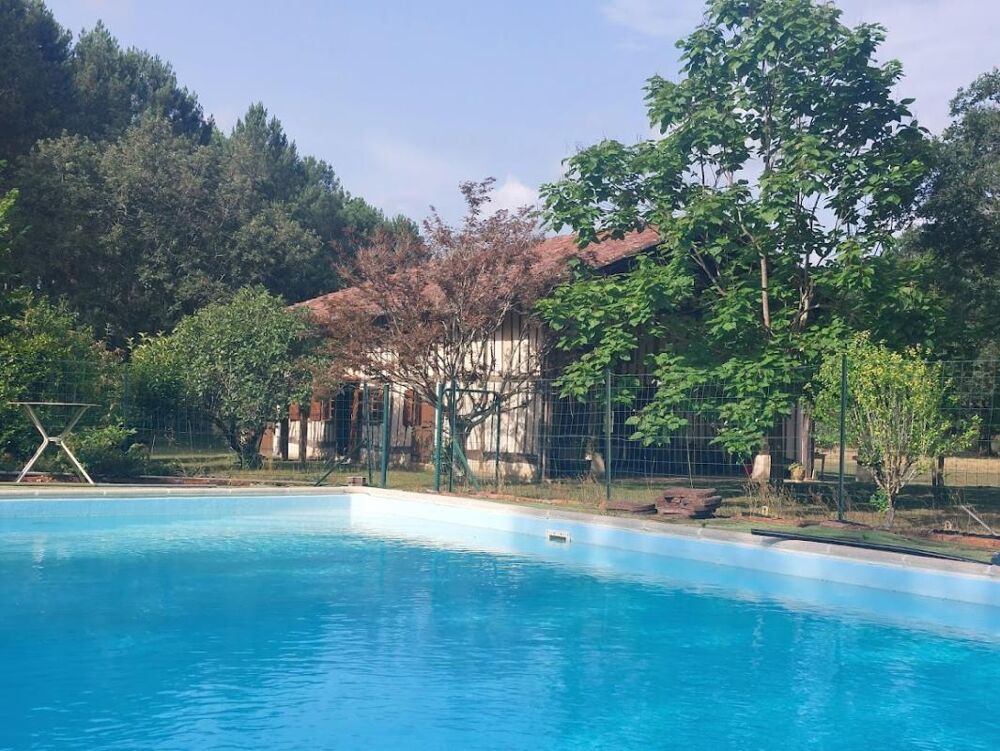 Maison Landaise entre pins et Océan