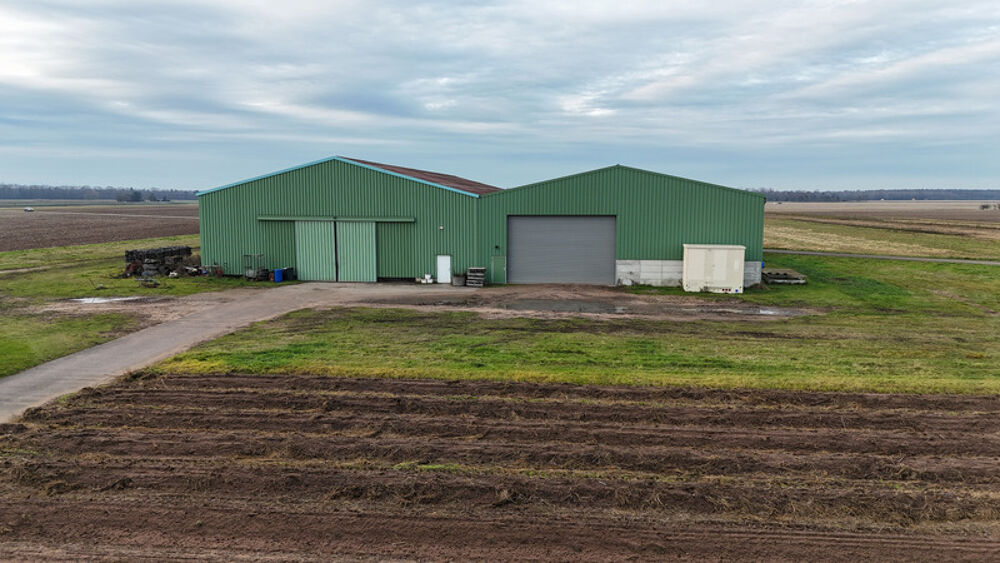 � vendre  Maison Strasbourg (67000)