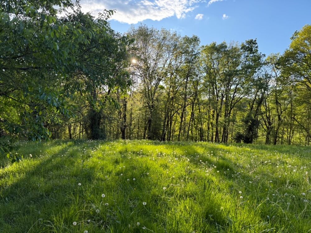 Vente Terrain Terrain à vendre de 2 247,00 m²  () Pouyastruc