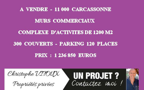 11000 CARCASSONNE - MURS COMMERIAUX, COMPLEXE D'ACTIVITES 1200 M&sup2; 1236850 11000 Carcassonne