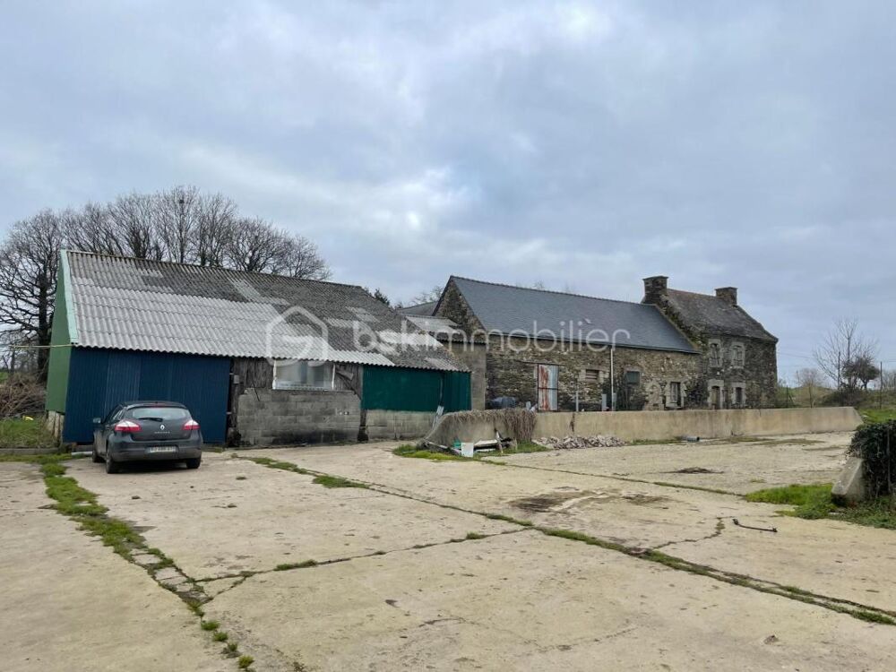 PLEUGRIFFET - 2 MAISONS + 2 HANGARS + 9 839 m² - PROJET RÉNOVATION