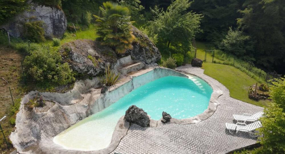 Vente Maison A vendre. Ensemble de 250m² à Tursac (24) avec maison d'habitation, gîte, piscine lagon sur près de 1,5 hectares de terrain en p Tursac