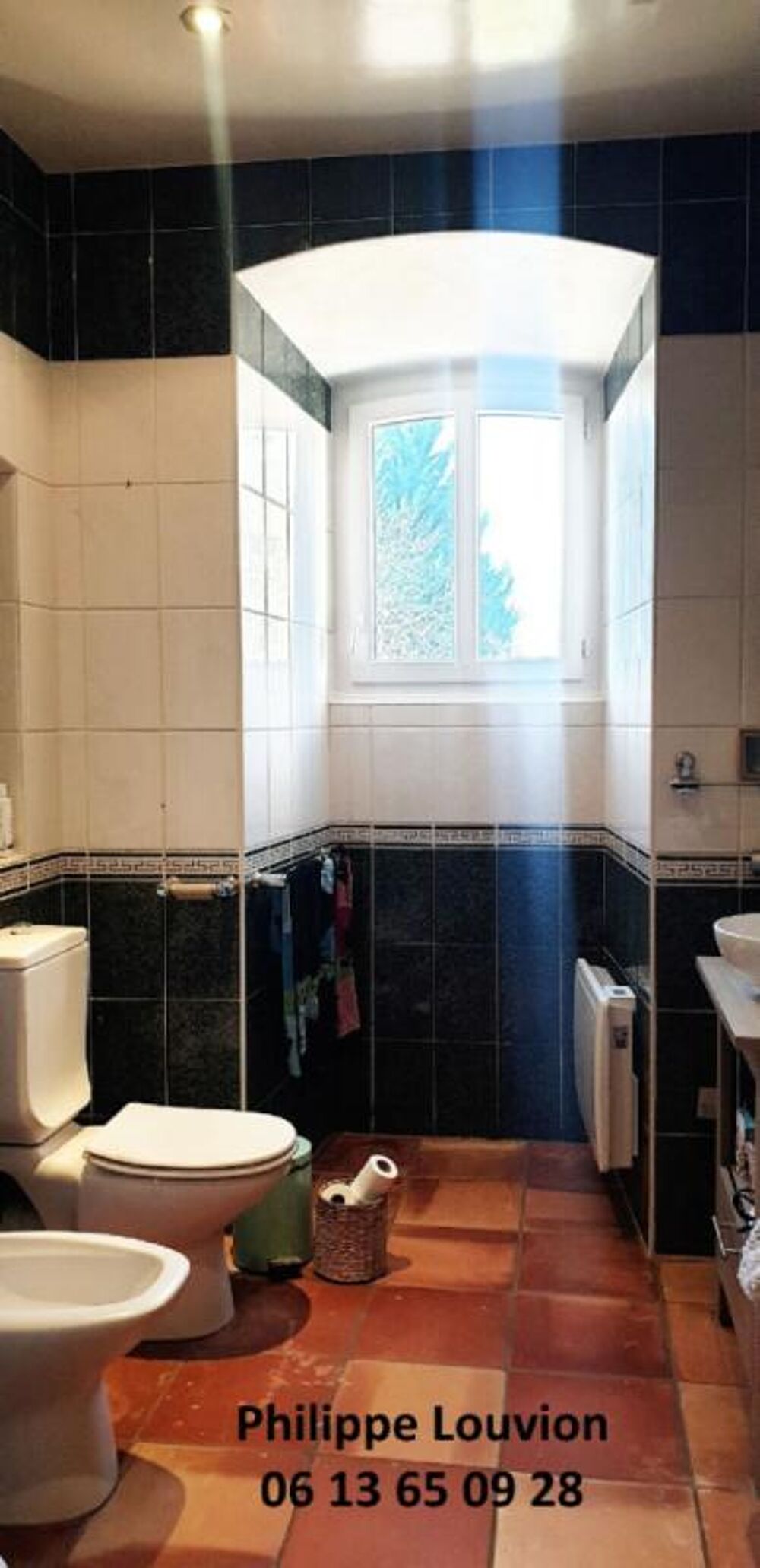  vendre  Proprit/chteau Monsgur (33580)