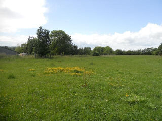  Terrain à vendre 6390 m²