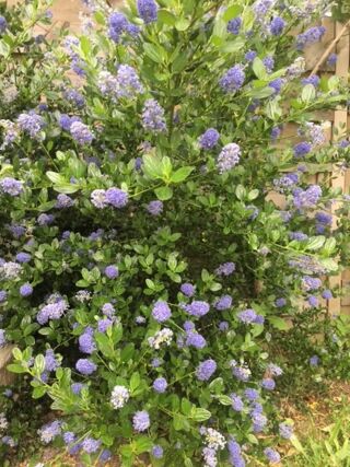  Terrain � vendre 290 m�