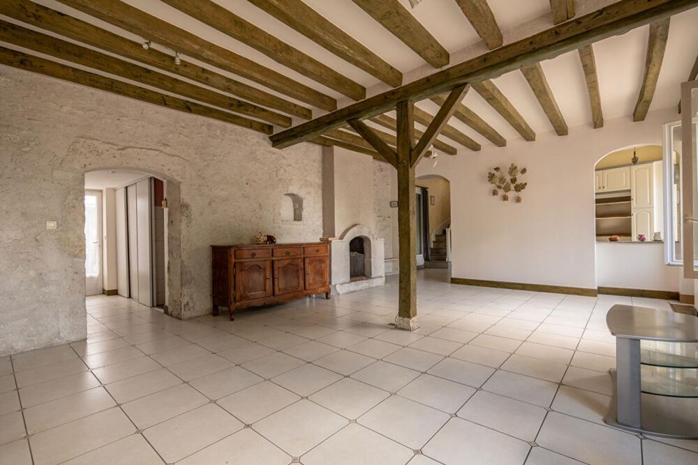 LIEUX UNIQUES ® x PROPRIÉTÉS PRIVÉES ® MAISON DE MAITRE DE 115 M², COUR, GARAGE 35 M² BEAUGENCY CENTRE