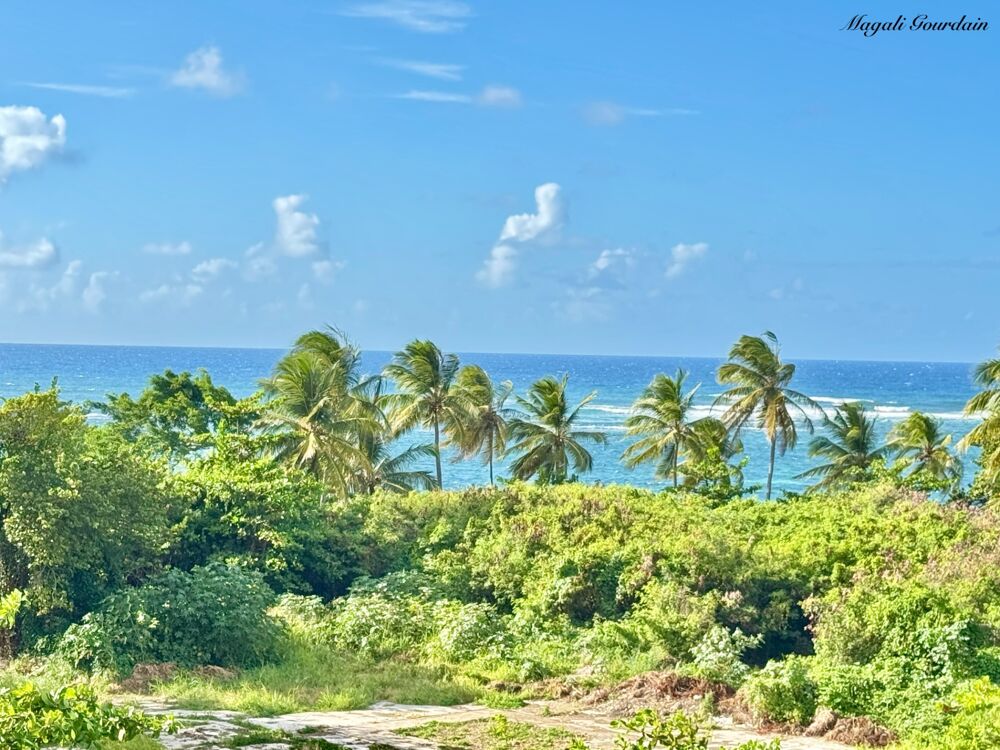 Vente Appartement A VENDRE - APPARTEMENT STUDIO AVEC VUE MER EXCEPTIONNELLE - LE MOULE Le moule