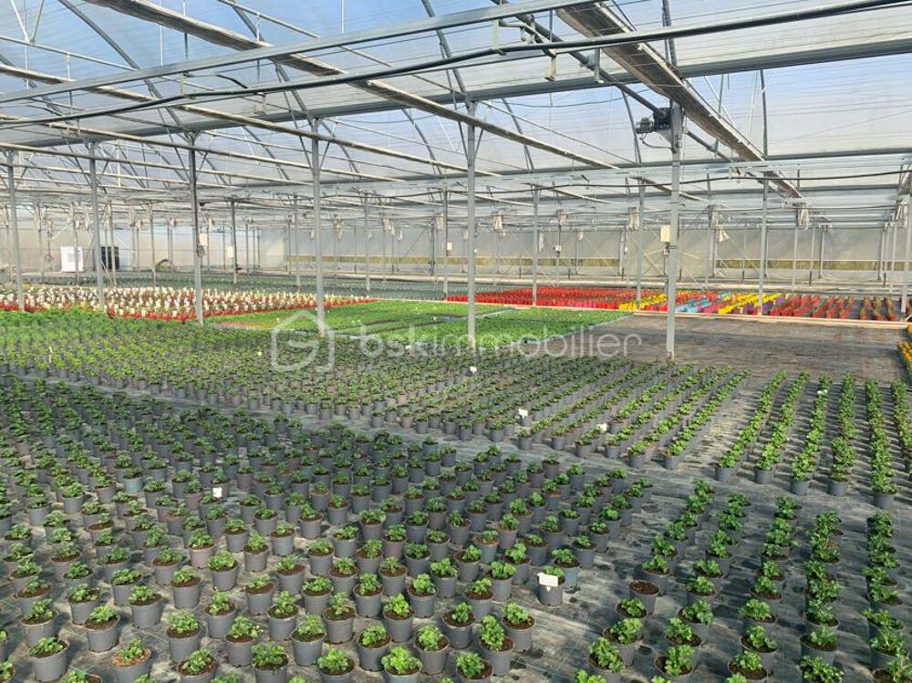 Vente Propriété/Château Proche Nogaro - Propriété Horticole de 3ha avec habitation Nogaro