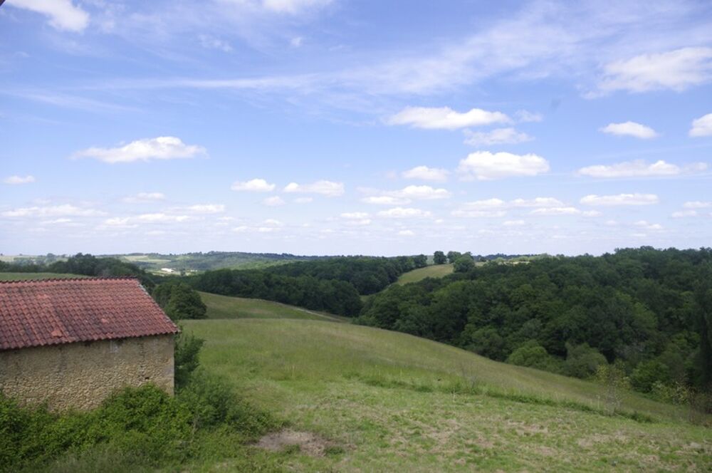 Vente Maison PEYRUSSE VIEILLE, secteur vallonné, belle propriété  de 227 m² avec vue panoramique et environnement privilégié Peyrusse vieille