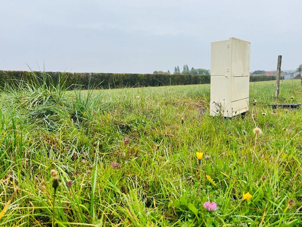 Vente Terrain NECY TERRAIN DE 845m² ENTIEREMENT VIABILISE Necy