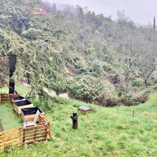  Appartement � vendre 4 pi�ces 65 m�