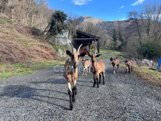  Maison � vendre 4 pi�ces 89 m�