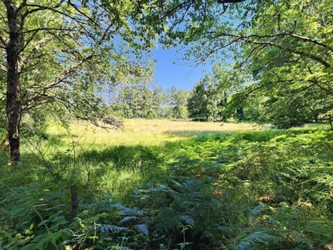 Tr&egrave;s beau terrain plat de 3 934 m2 constructible en Totalit&eacute; avec CU en cours de validit&eacute;, situ&eacute; en P&eacute;rigord Noir &agrave; Larzac 24170 290000 24170 Larzac