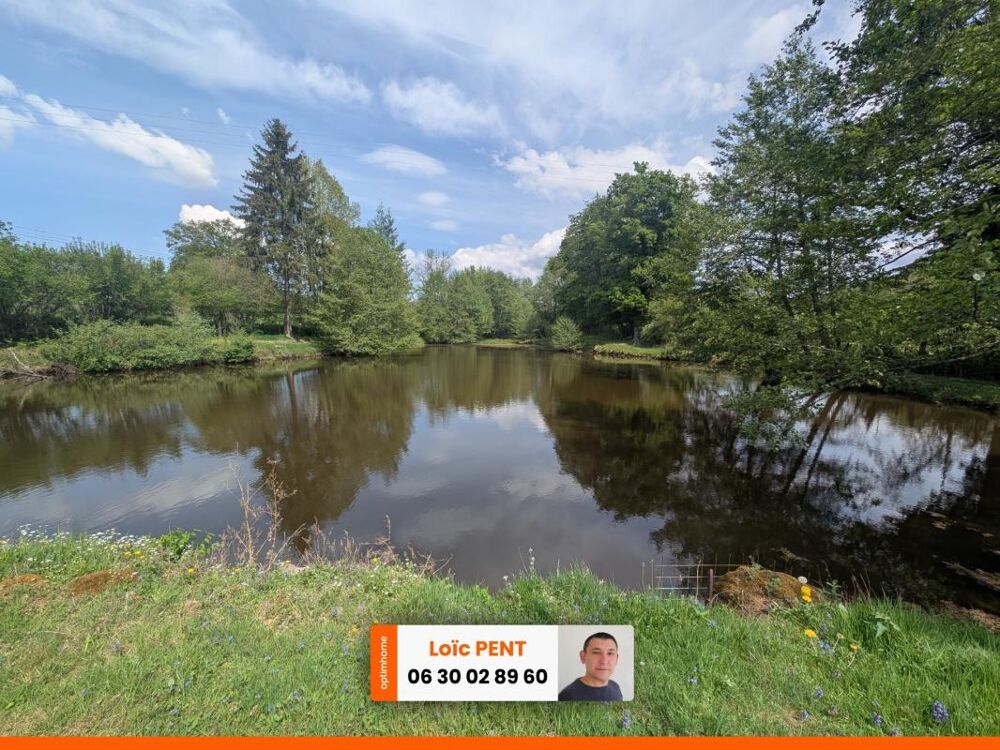 Vente Terrain Etang à vendre sur un terrain de 26 033,00 m² LE MAYET DE MONTAGNE (03250) Le mayet de montagne