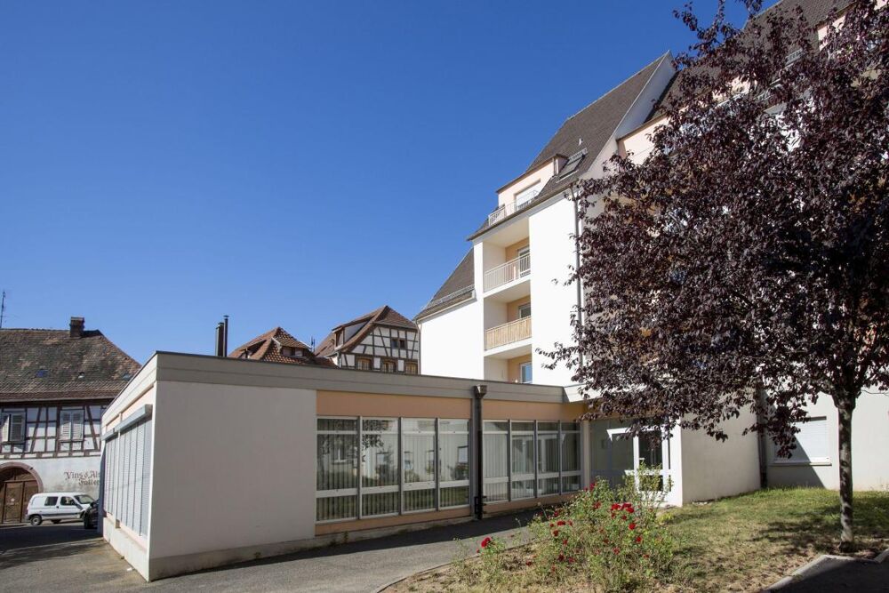 Location Appartement 54700404 - Appartement - F1 - Ribeauvillé (68150) Ribeauville