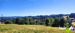  Terrain à vendre 10091 m²