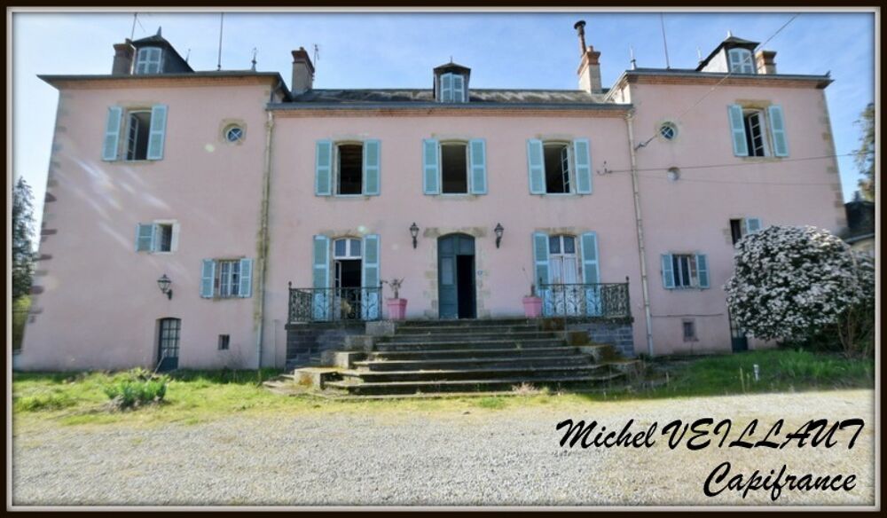 Propriété à vendre avec bâtisse de 15 pièces, 2 gîtes, terrain 7390 m², VILLENEUVE SUR ALLIER (03)