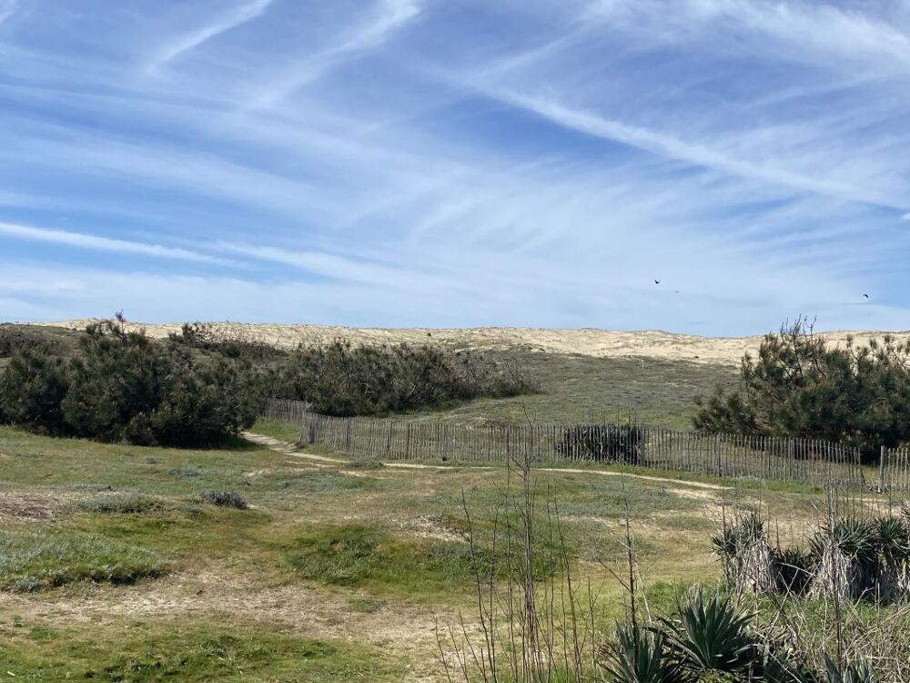 � vendre  Maison L�ge-Cap-Ferret (33950)