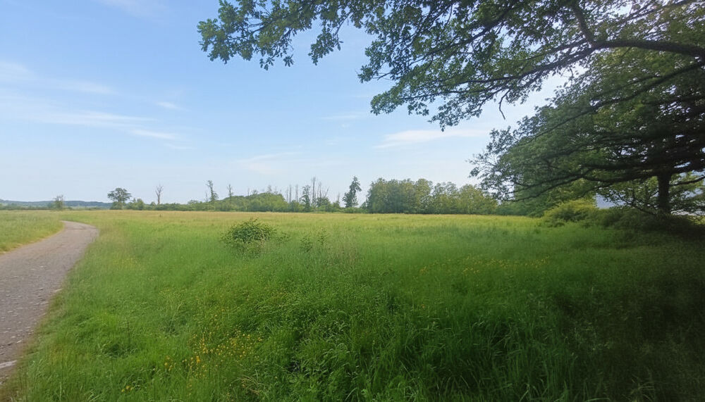 Vente Terrain Terrain de loisirs ( PRL) BOURG d' Eguzon - Chantome 36270 Eguzon chantome