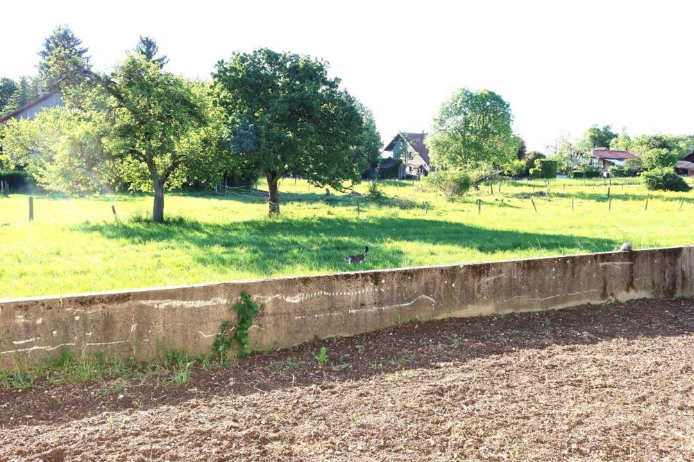 Vente Maison 74500 FETERNES à 5mn EVIAN embarcadère,villa neuve type F4/5 de 110m²hab au calme et ensoleillé sur 460m²terr plat Feternes
