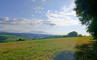  Terrain à vendre 50000 m²