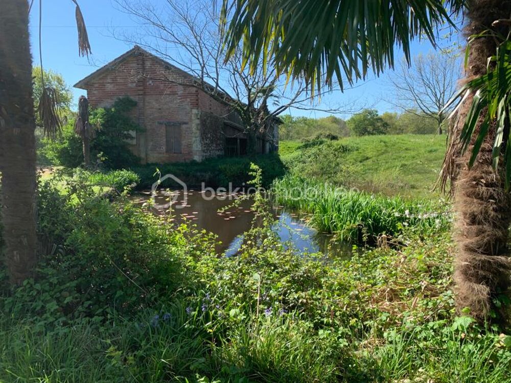 Vente Maison Proche Eauze - Propriété de 13ha en BIO Eauze