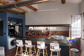  Loft à vendre 5 pièces 249 m²